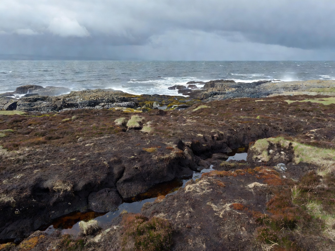 Peaty coastal landscape representing Islay